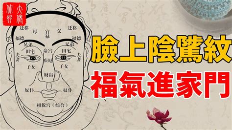 陰騭紋長什麼樣子|陰騭紋:陰騭部位的形象。陰騭，亦稱淚堂，龍堂，鳳。